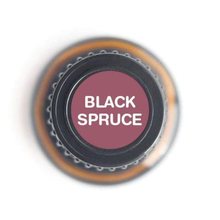 Black Spruce Pure Essential Oil - 15ml-1